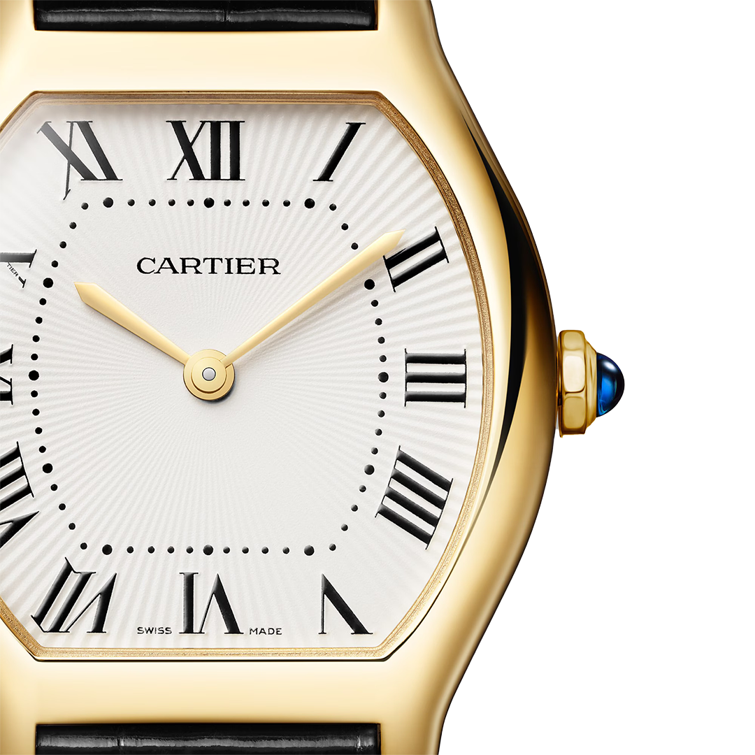 Tortue Watch