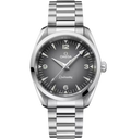 OMEGA Seamaster Railmaster, 38mm with Gray Dial