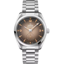 OMEGA Seamaster Railmaster, 38mm with Brown Dial