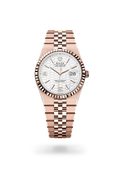 Rolex Land-Dweller 36