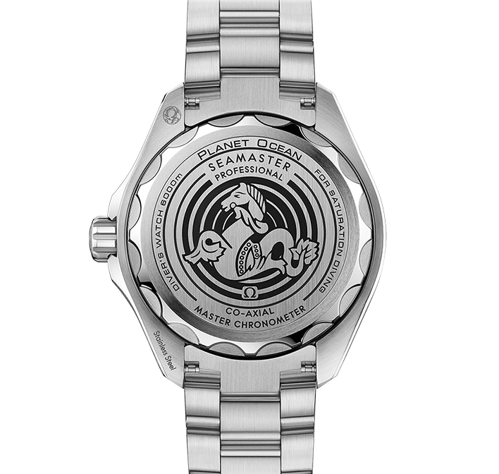 OMEGA Seamaster Planet Ocean 6000m Co-Axial Master Chronometer, 45.5mm with Brown Dial