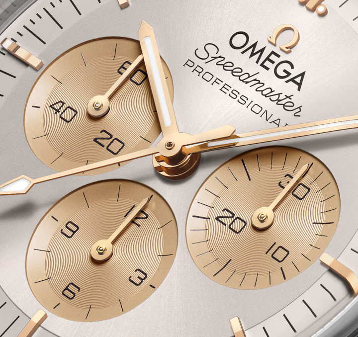 OMEGA Speedmaster Moonwatch Professional, 42mm with Silver Dial